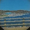 pnconway19
